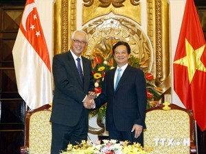 PM Nguyen Tan Dung receives Singaporean Senior Minister Goh Chok Tong - ảnh 1